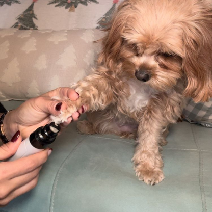 PawGlide™ Limador de Uñas Silencioso