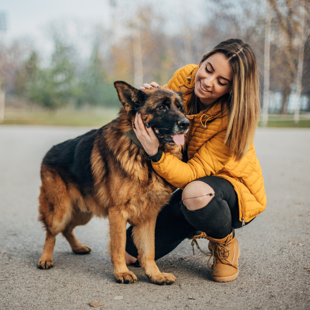 files/Edit_this_exact_collage_image_making_ONLY_these_three_specific_improvements._Keep_everything_else_identical_same_4_photos_same_layout_same_orange_banner_in_center_same_people_same_dog_9e439170-d8f8-4c3f-b0a4-fd7c9fb21128.png