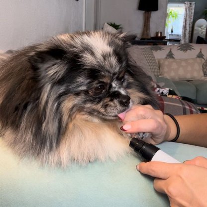 PawGlide™ Limador de Uñas Silencioso